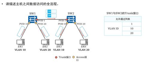 计算机网络 VLAN原理、配置及其在技术研发中的关键角色